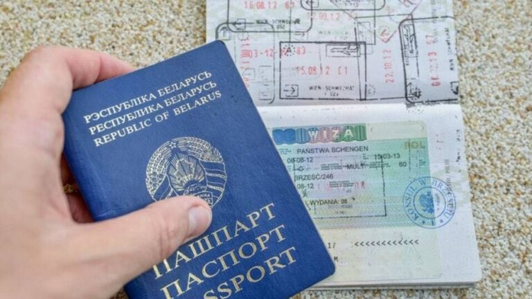 Виза