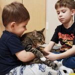 аренда квартиры в Барановичах