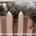 отопление в Брестской области