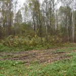 Дорога к кладбищу в Ярошках остаётся разбитой