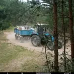 Фотоловушки в Смолевичском районе выявили свыше 50 нарушений