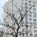 цены на квартиры в Минске