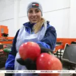 стабилизационные фонды