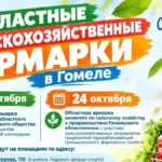 ярмарки