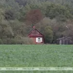 земельные участки