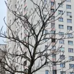 обмен квартир с доплатой в Минске