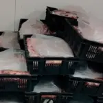В мясном цехе Гомельской области нашли более 600 кг продукции без маркировки
