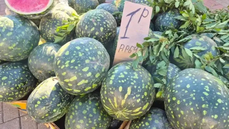 ярмарка в Солигорске